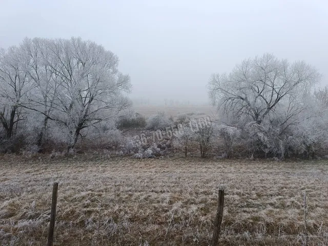 Eladó telek Őrbottyán 100000 nm