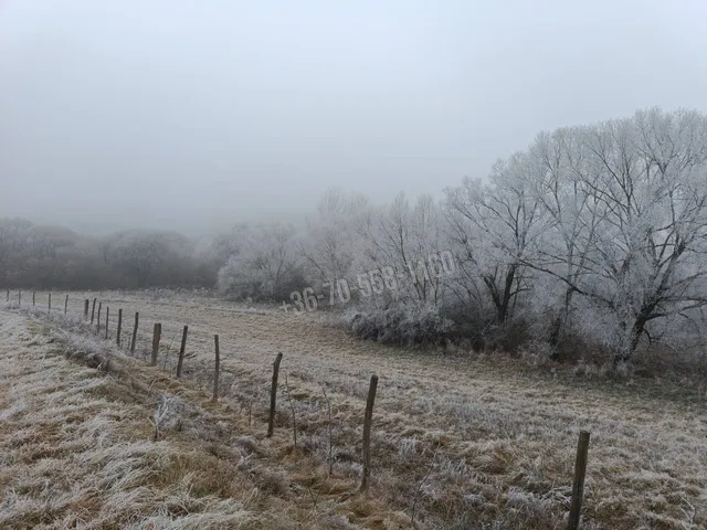 Eladó telek Őrbottyán 100000 nm