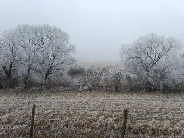 Eladó telek Őrbottyán 100000 nm