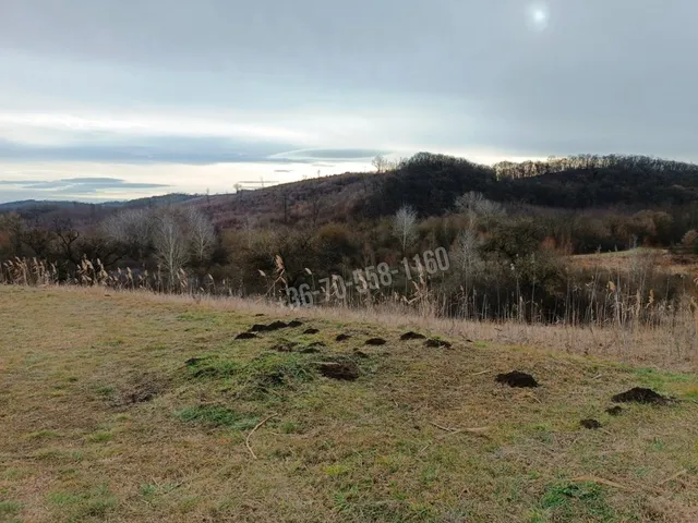 Eladó telek Őrbottyán, 2103-as út 39390 nm