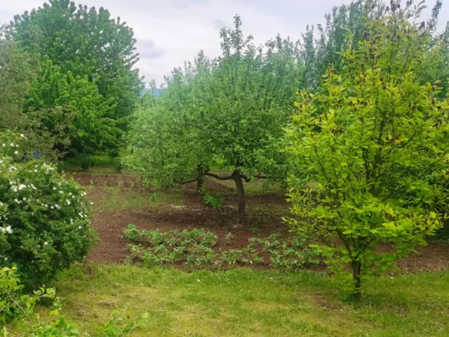 Eladó telek Szanda 960 nm