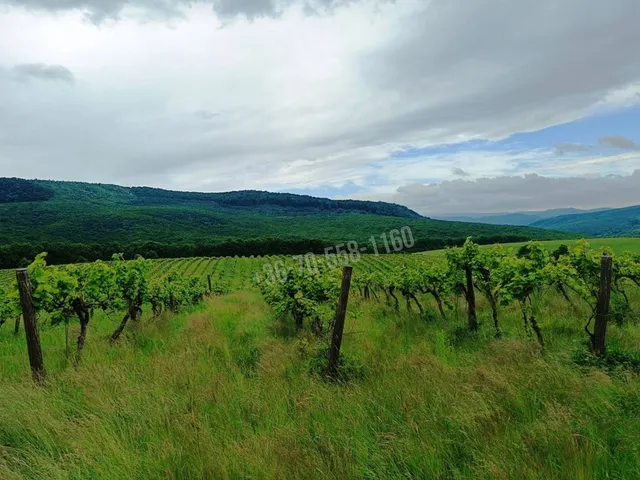 Eladó mezőgazdasági ingatlan Szendehely 11700 nm