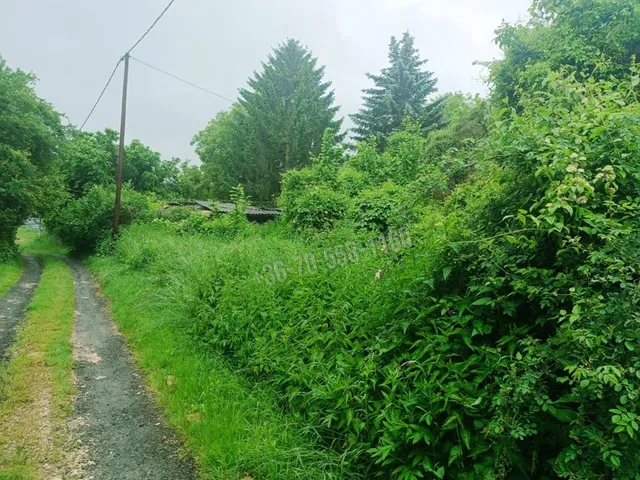 Eladó mezőgazdasági ingatlan Vác, Gombás 10403 nm