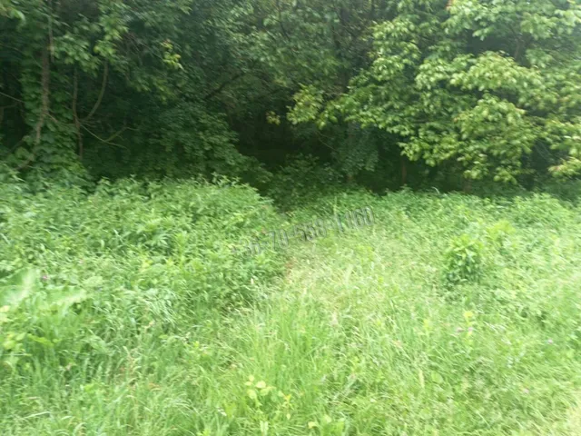 Eladó telek Vác, Gombás 10403 nm