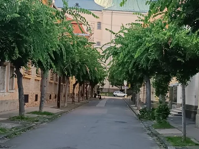 Eladó ház Vác, Belváros 125 nm