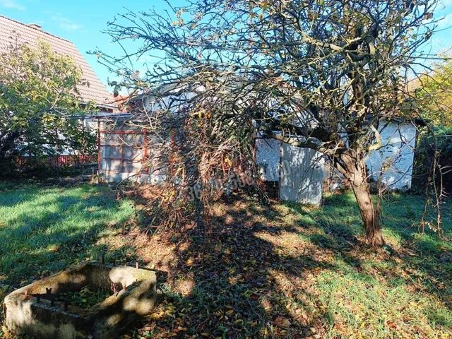 Eladó ház Délegyháza, Fagyöngy 50 nm