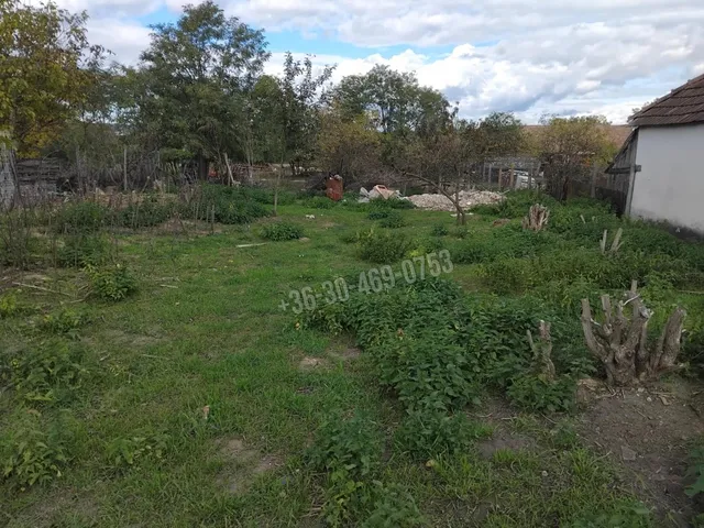 Eladó ház Dejtár 70 nm