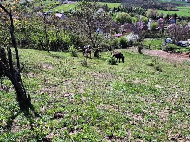 Eladó ház Rád 140 nm