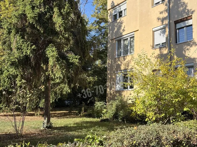 Eladó lakás Budapest XI. kerület, Sasad-Sashegy XI. ker. 52 nm