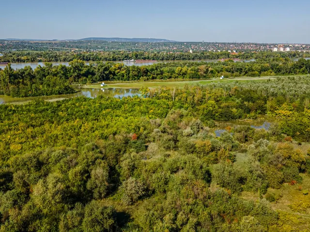 Eladó ház Halásztelek 280 nm