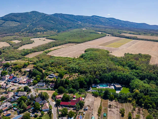Eladó mezőgazdasági ingatlan Pásztó 20368 nm
