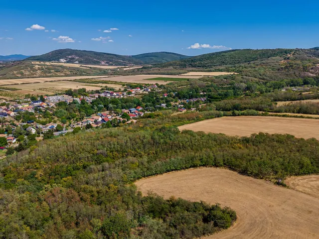 Eladó mezőgazdasági ingatlan Pásztó 20368 nm