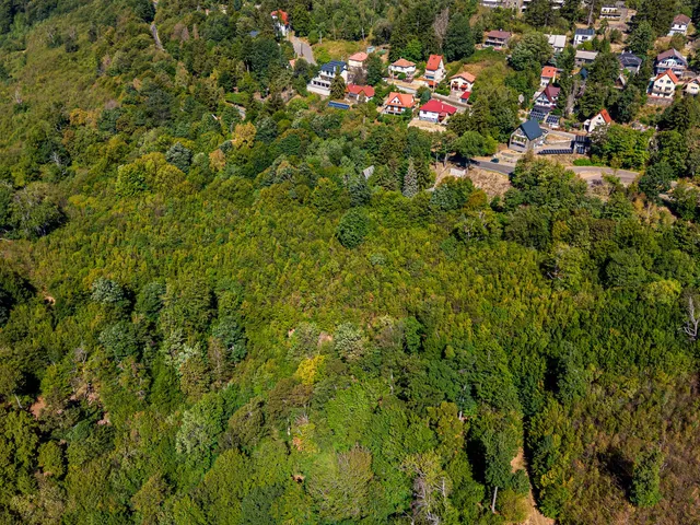 Eladó telek Mátraszentimre 1362 nm