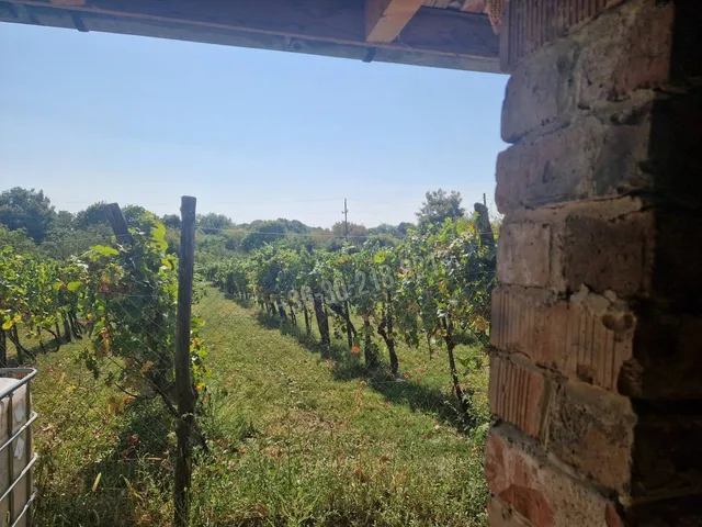 Eladó mezőgazdasági ingatlan Eger 140 nm