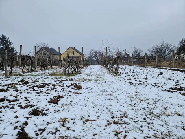 Eladó telek Verpelét 20 nm