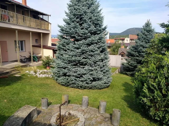 Kiadó lakás Eger, Ráchóstya 35 nm