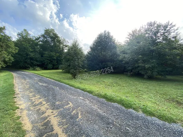 Eladó mezőgazdasági ingatlan Zalasárszeg 14949 nm