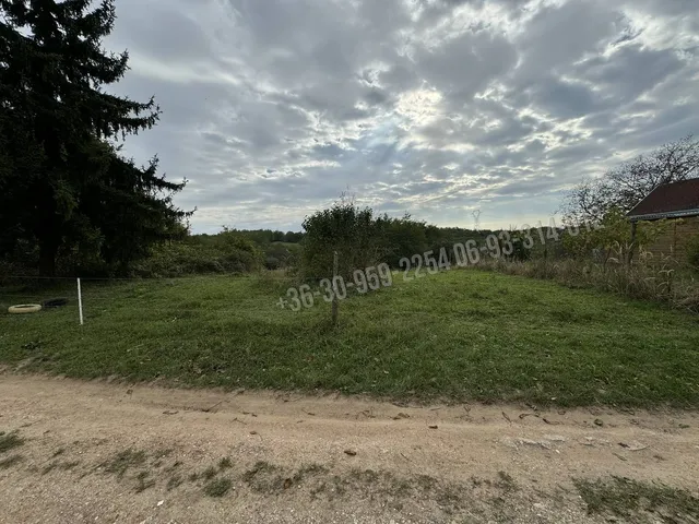 Eladó mezőgazdasági ingatlan Csapi 5717 nm
