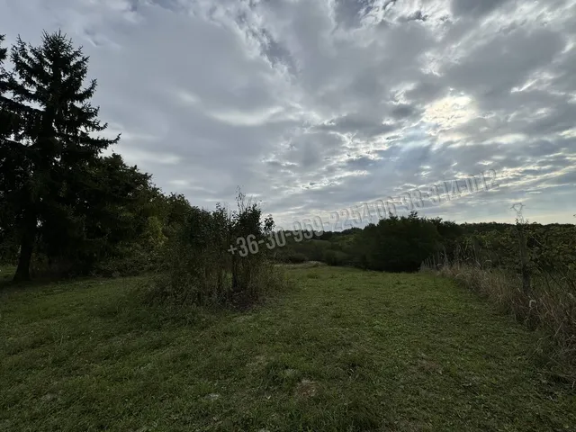 Eladó mezőgazdasági ingatlan Csapi 5717 nm