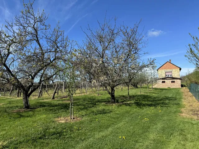 Eladó mezőgazdasági ingatlan Csapi, Győr-hegy 44 nm