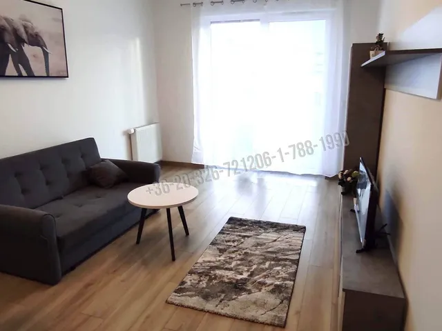 Kiadó lakás Budapest IX. kerület, Rehabilitációs terület IX. ker. 44 nm