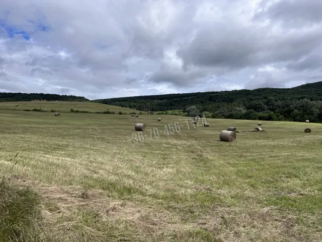 Eladó telek Alsópetény 31467 nm