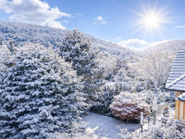 Eladó ház Budapest II. kerület 254 nm