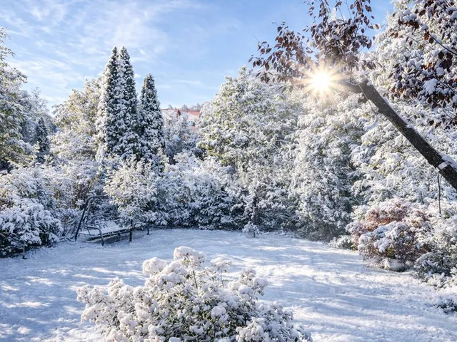 Eladó ház Budapest II. kerület 254 nm
