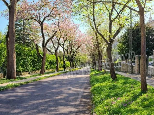 Eladó lakás Budapest XII. kerület, Orbánhegy 113 nm