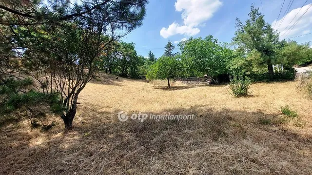 Eladó telek Velence, Bencehegy 1022 nm