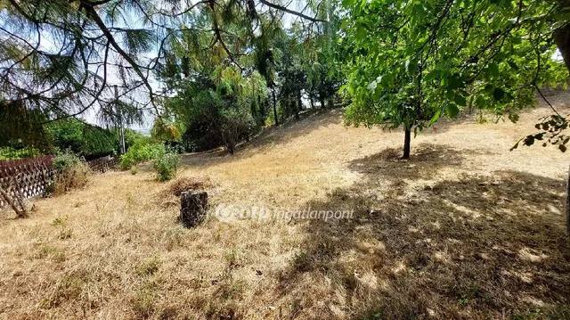 Eladó telek Velence, Bencehegy 1022 nm