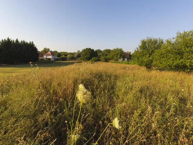 Eladó telek Pázmánd 3350 nm