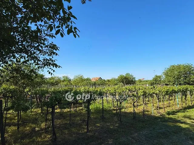 Eladó üdülő és hétvégi ház Lepsény 50 nm