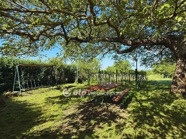 Eladó üdülő és hétvégi ház Lepsény 50 nm