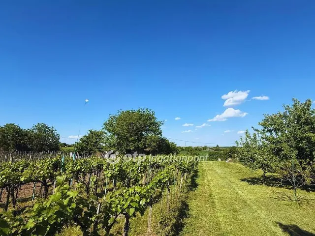 Eladó üdülő és hétvégi ház Lepsény 50 nm