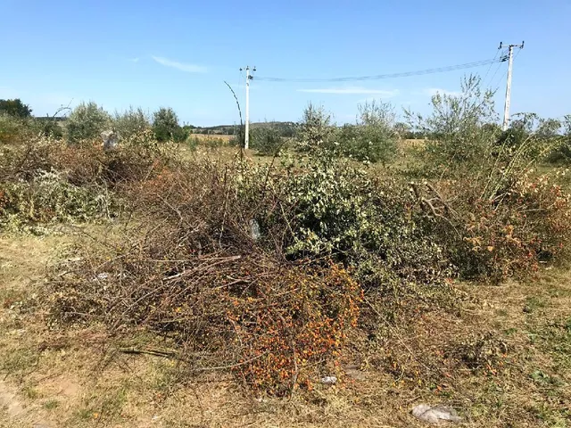 Eladó telek Velence 1388 nm