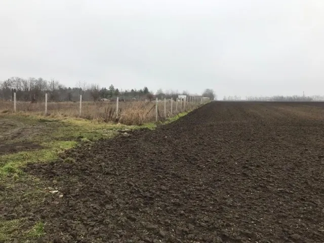 Eladó telek Velence 15000 nm