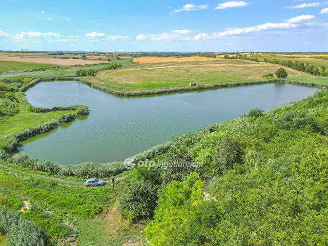 Eladó mezőgazdasági ingatlan Mezőszilas 47524 nm