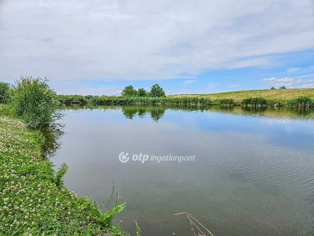 Eladó mezőgazdasági ingatlan Mezőszilas 47524 nm