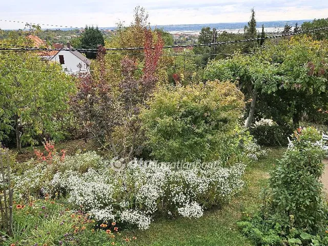 Eladó üdülő és hétvégi ház Sukoró 97 nm