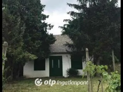 Eladó üdülő és hétvégi ház Lepsény 38 nm