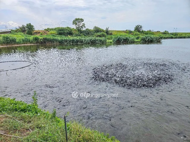 Eladó mezőgazdasági ingatlan Mezőszilas 47 nm