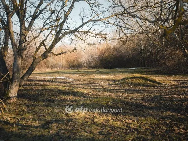 Eladó telek Székesfehérvár 9700 nm