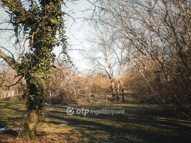 Eladó telek Székesfehérvár 9700 nm