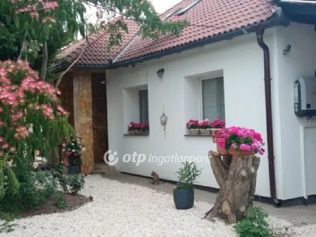 Eladó ház Sárszentmihály 280 nm