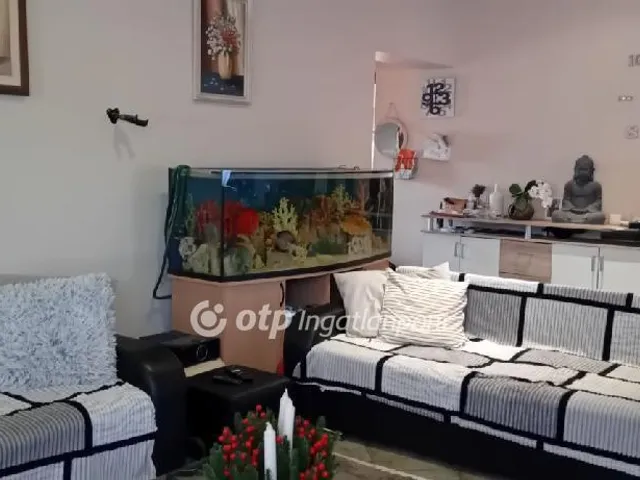 Eladó ház Sárszentmihály 280 nm