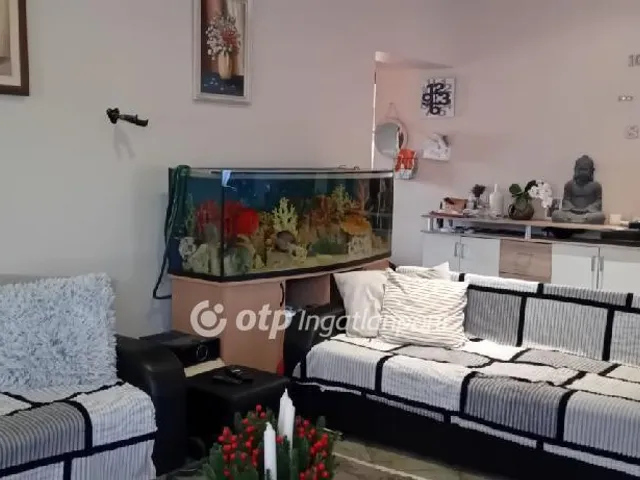 Eladó ház Sárszentmihály 280 nm