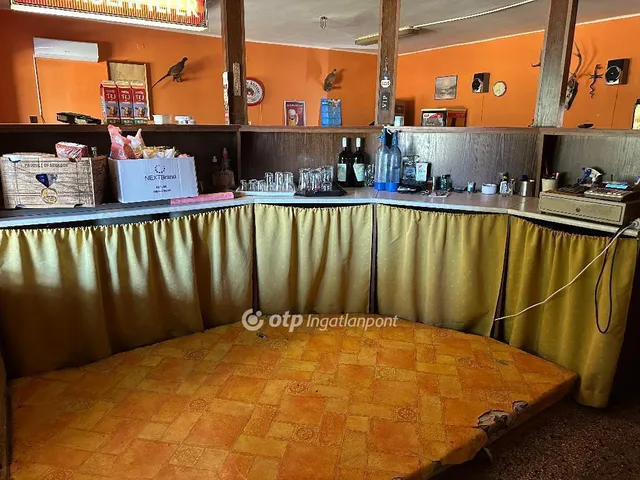 Eladó ház Nagyvenyim 190 nm