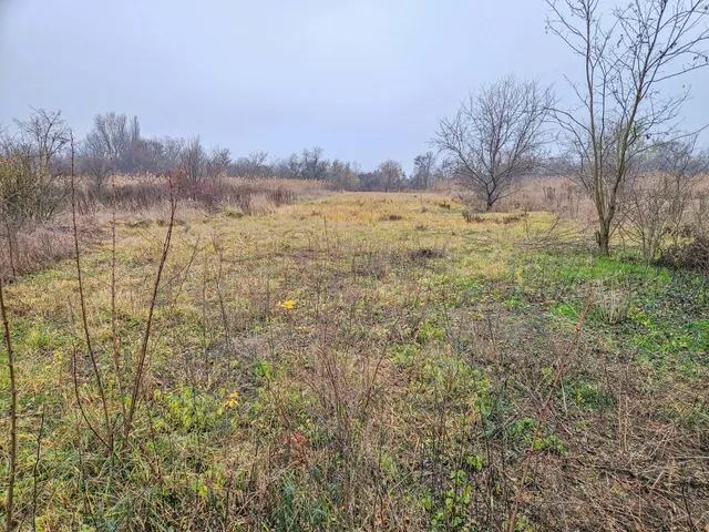 Eladó telek Szigetszentmiklós 998 nm