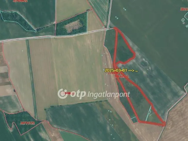 Eladó mezőgazdasági ingatlan Szabadegyháza 16900 nm